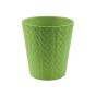 VASO ORCHIDEA VERDE MILITARE