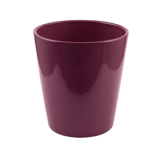 VASO ORCHIDEA LISCIO PRUGNA